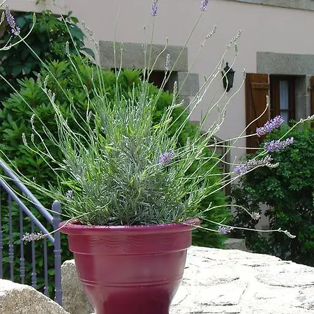 La Sabotiere * Pluméliau